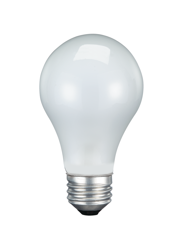 Ampoules incandescentes à intensité variable givrée à culot E26 NOMA