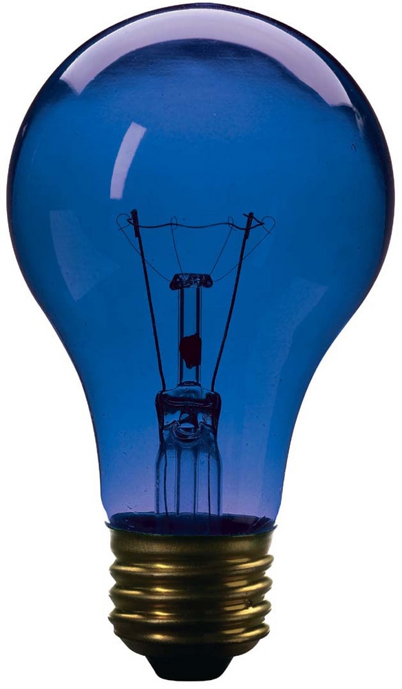 Ampoule incandescente à culot E26 à intensité variable NOMA A19, bleu