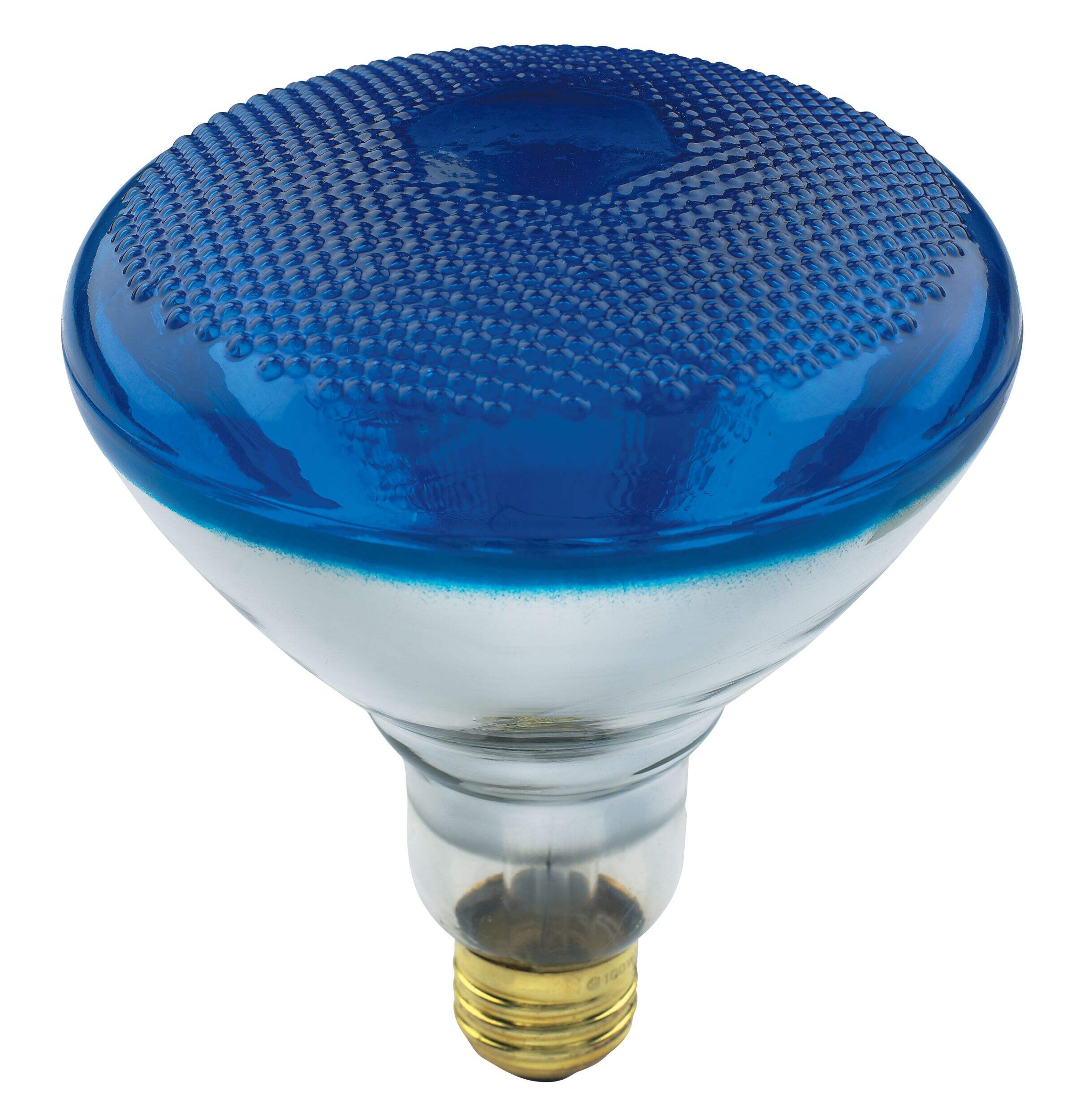 INC NM PAR38 100W BU