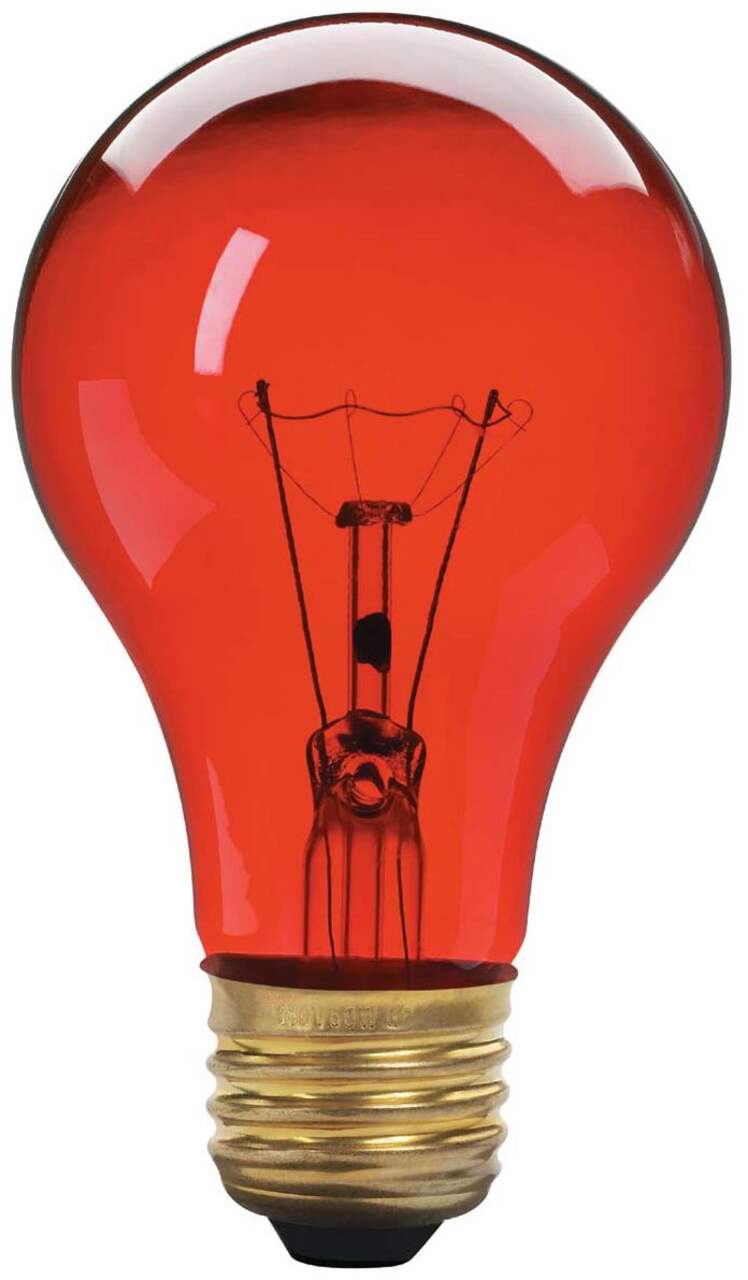 Ampoule à incandescence à culot E26 à intensité variable pour lampe à  infrarouge NOMA R40, 565 lumens, rouge, 250 W