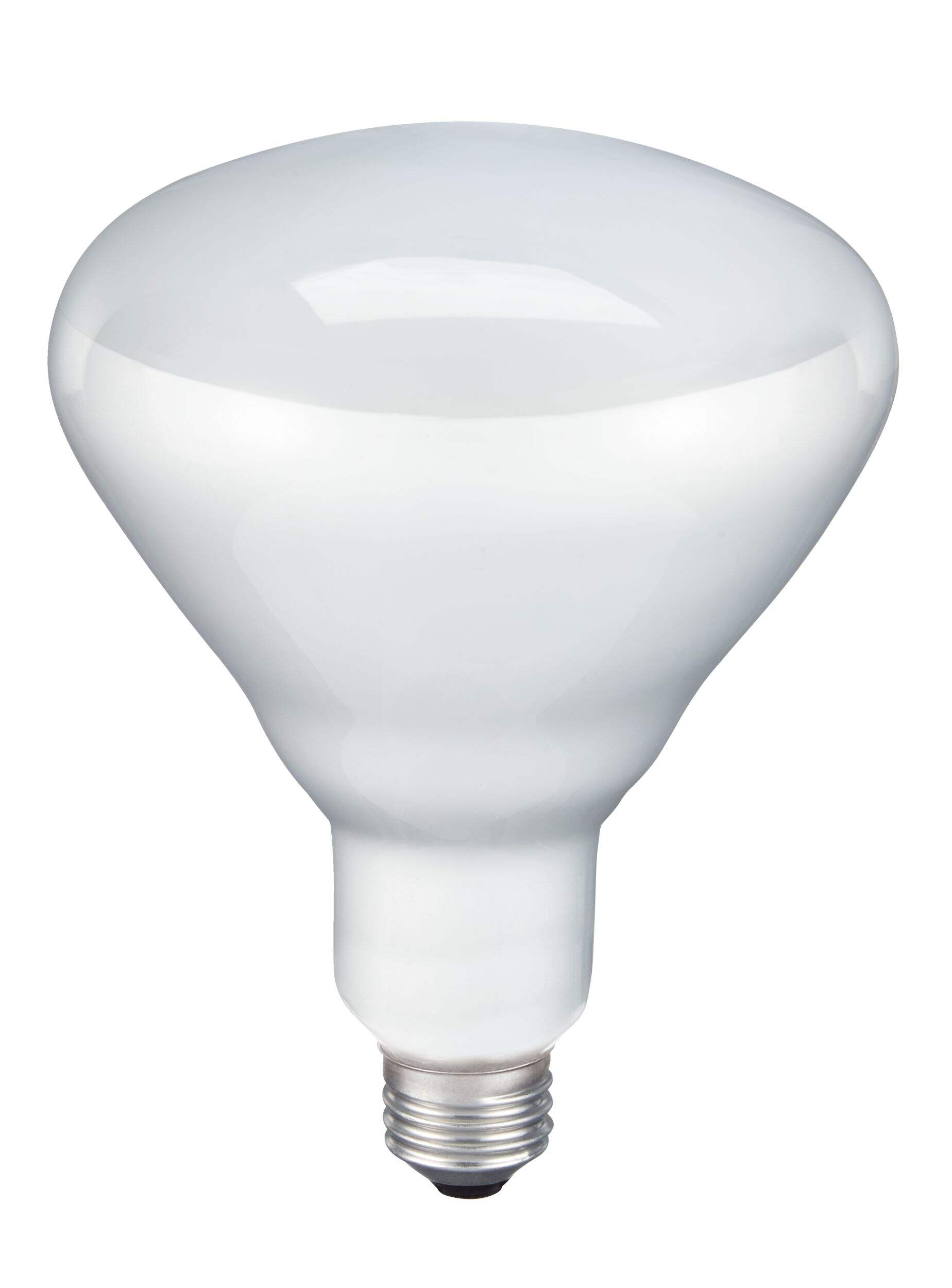 Ampoule pour l'intérieur givrée à intensité variable à culot E26 NOMA BR40, 2600K, 620 lumens, blanc chaud, 65 W Front_Elevated