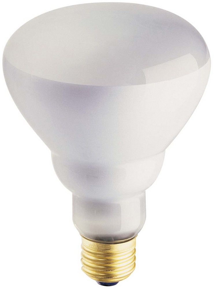 Ampoules pour projecteur à culot E26 à intensité variable NOMA BR30