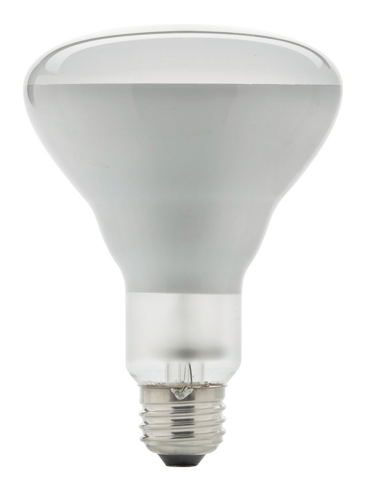 NOMA BR30 E26 Base Dimmable Halogen Flood Light Bulbs, 2700K, 610