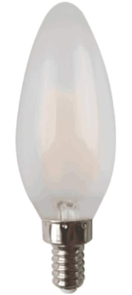 Noma Expressions  Clear C-7 Bulb 25 packs of 4 bulbs total 100 bulbs 