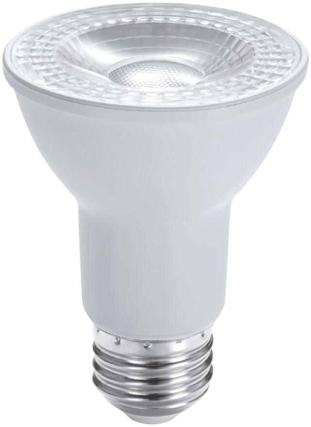 Ampoules pour projecteur à DEL à culot E26 à intensité variable NOMA