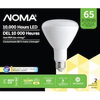 NOMA BR30 E26 Base Non-Dimmable LED Flood Light Bulbs, 650 Lumens, Assorted Colours, 65W, 2-Pk Front_Flat