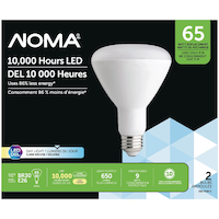NOMA BR30 E26 Base Non-Dimmable LED Flood Light Bulbs, 5000K, 650 Lumens, Daylight, 65W, 2-pk Front_Flat