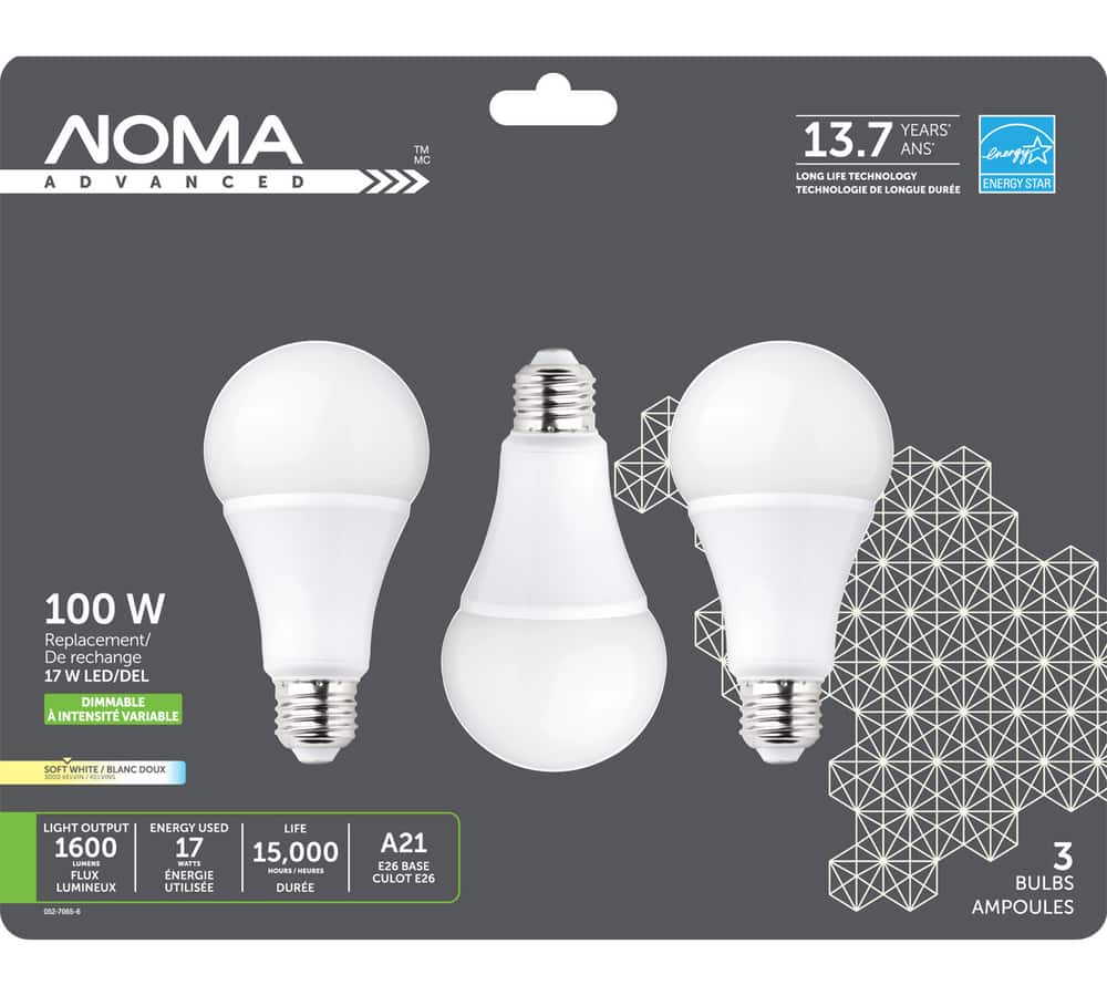 Everyday Living® 14-Watt (100-Watt) A19 LED Light Bulb - Soft