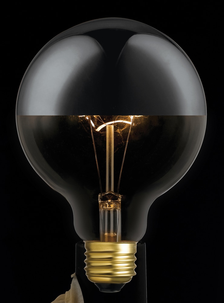 Globe Electric Dimmable Incandescent Light Bulb, 220 Lumens, Soft White, Chrome Finish, 40W