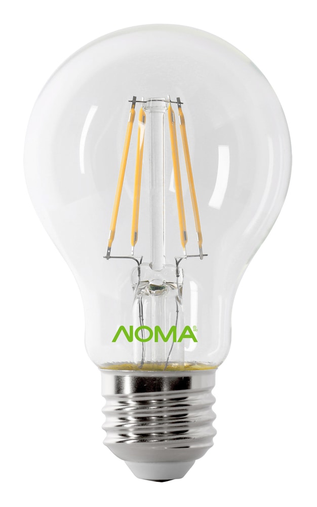 Ampoule à DEL NOMA A19, 60 W, culot E26, filament, transparent, blanc
