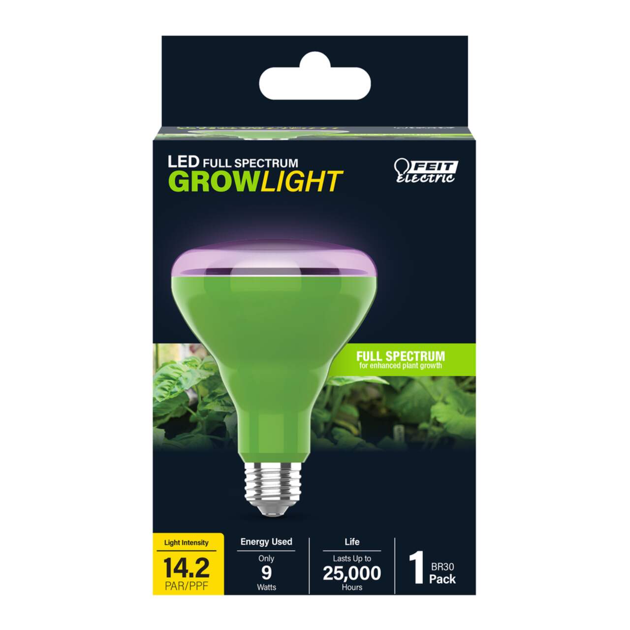 Lampe de croissance pour plantes Feit Electric DEL 17 po