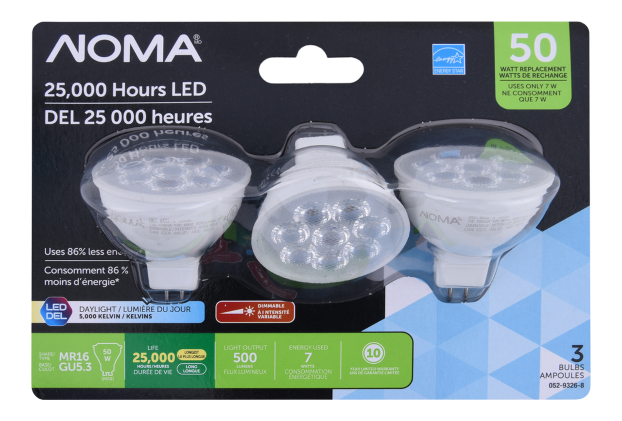 Ampoules pour projecteur à DEL non variable à culot E26 NOMA A19, 5000K,  1500 lumens, lumière du jour, 100 W, paq. 8