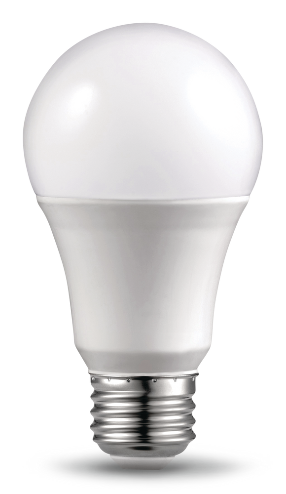 Ampoules à DEL à culot E26 à intensité variable NOMA A19, 5000K, 800