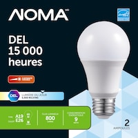 Ampoules à DEL à culot E26 à intensité variable NOMA A19, 5000K, 800 lumens, lumière du jour, 60 W, paq. 2