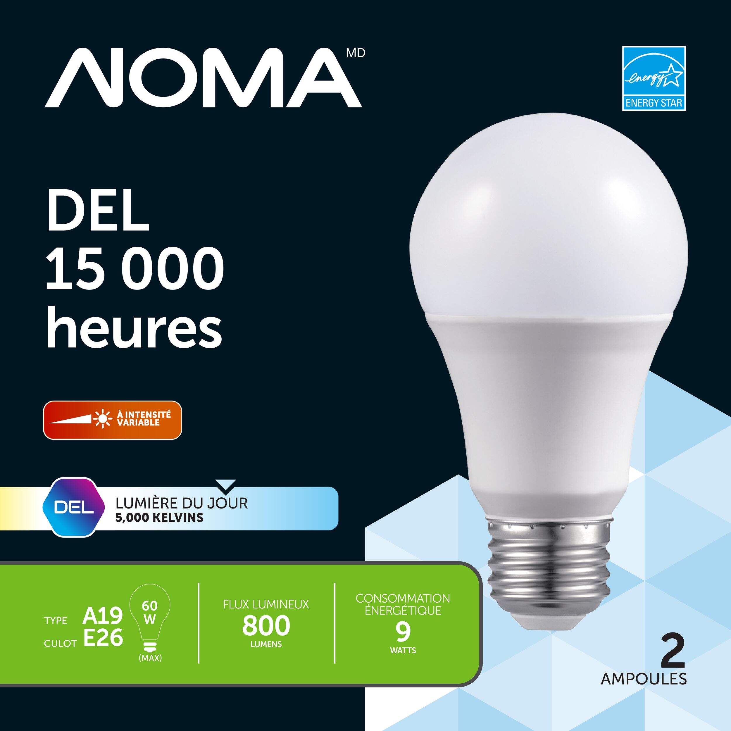 Ampoules à DEL à culot E26 à intensité variable NOMA A19, 5000K, 800 lumens, lumière du jour, 60 W, paq. 2 Front_Flat