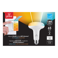Globe Electric BR30 E26 Base Globe Dimmable LED Light Bulbs, Tunable White, 65W, 2-pk Front_Flat