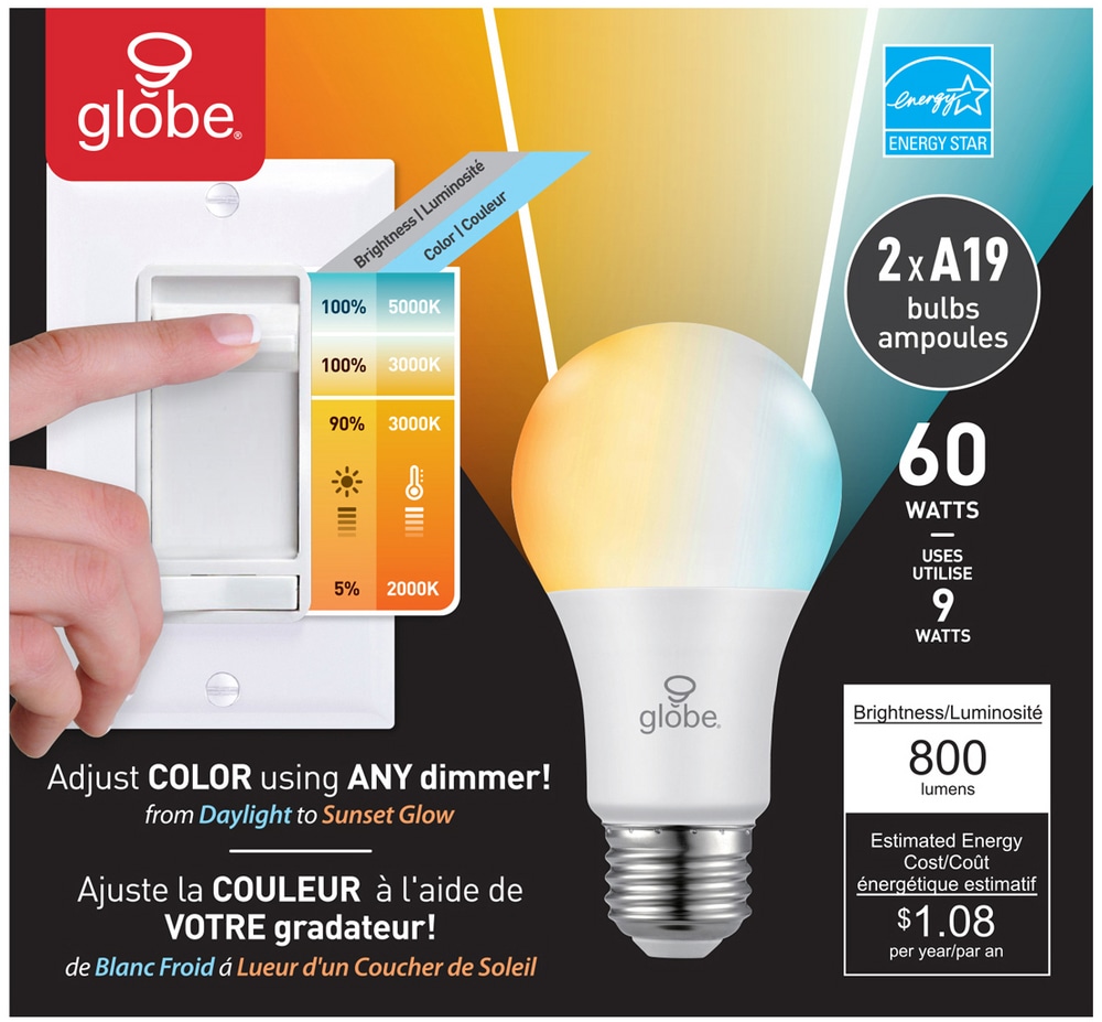 Ampoule à DEL à intensité variable à culot E26 Globe Electric Duo A19
