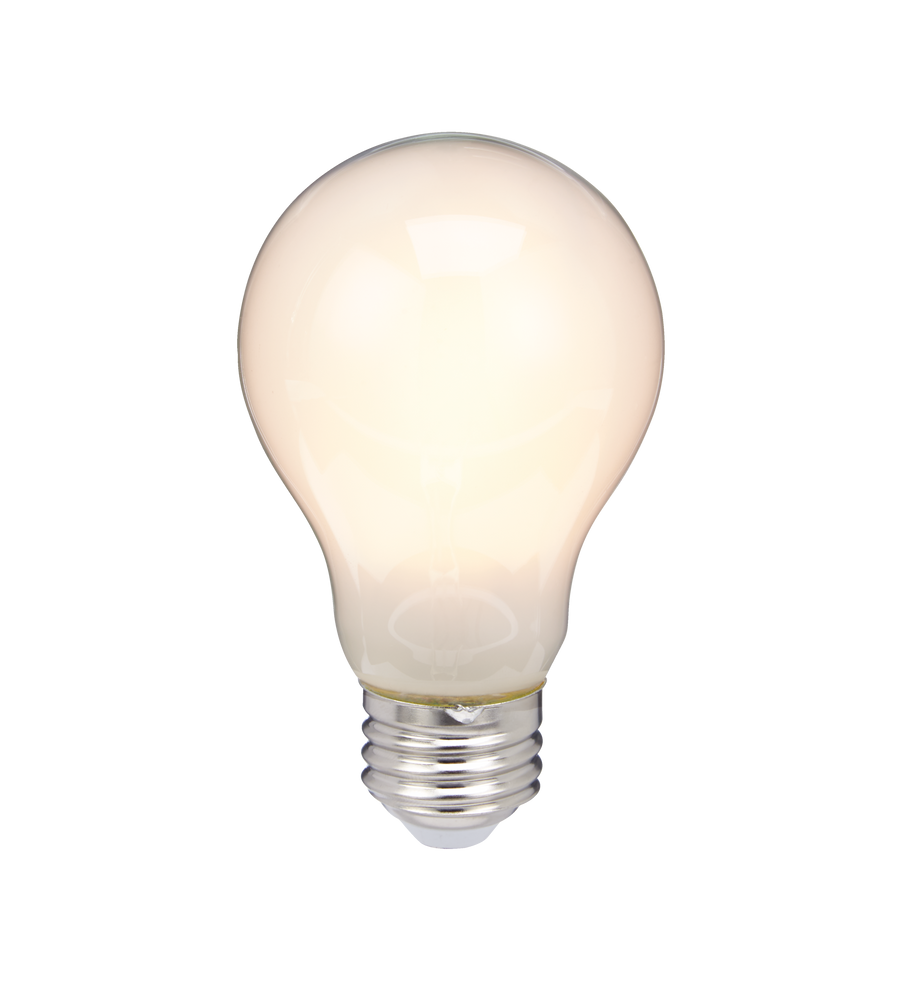 NOMA A19 E26 Base Household Dimmable LED Light Bulbs, 800 Lumens, Warm