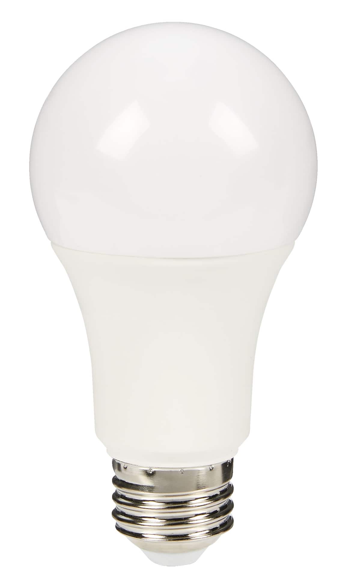 NOMA A19 E26 Base Non-Dimmable LED Light Bulbs, 5000K, 1500 Lumens