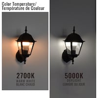 NOMA A19 E26 Base Non-Dimmable LED Light Bulbs, 5000K, 1500 Lumens, Daylight, 100W, 8-pk Front_Angled_Right