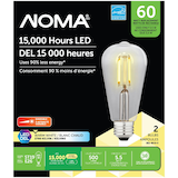 NOMA ST19 E26 Base Dimmable LED Filament Light Bulbs, 500 Lumens, Warm White, 60W, 2-pk Front_Flat