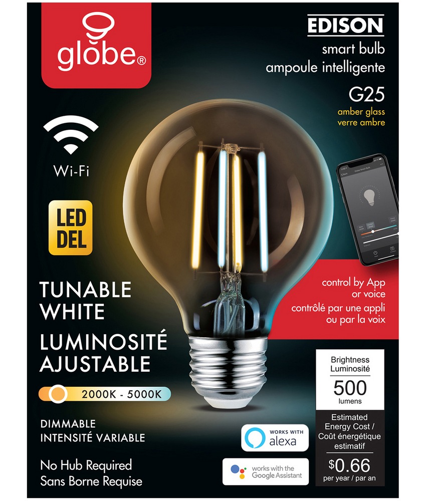 Ampoule à DEL intelligente WiFi à intensité variable à culot E26 Globe