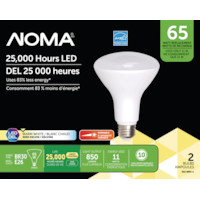 NOMA BR30 E26 Base Dimmable LED Light Bulbs, 3000K, 850 Lumens, Warm White, 65W, 2-pk