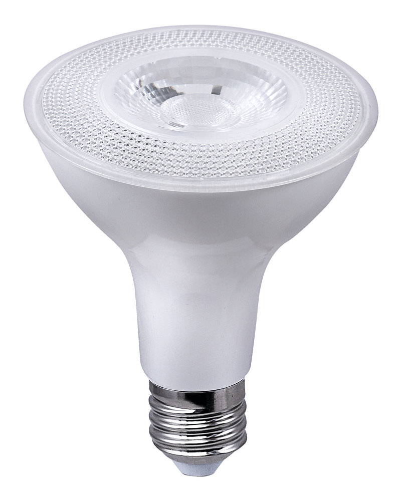 Ampoule pour projecteur à DEL à intensité variable à culot E26 NOMA