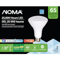 NOMA BR30 E26 Base Dimmable LED Light Bulbs, 5000K, 850 Lumens, Daylight, 65W, 2-pk Front_Flat