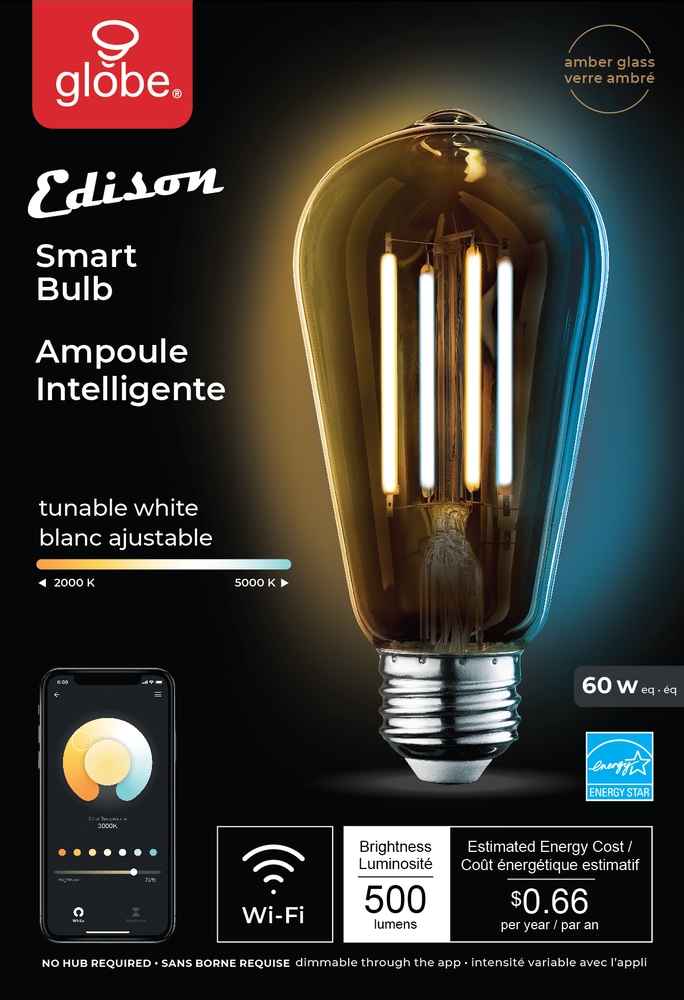 Ampoule Edison à DEL intelligente WiFi Globe Electric ST19, 500 lumens