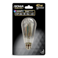 NOMA Designer Series ST19 E26 Base Non-Dimmable LED Smoke Style Light Bulb, 40W