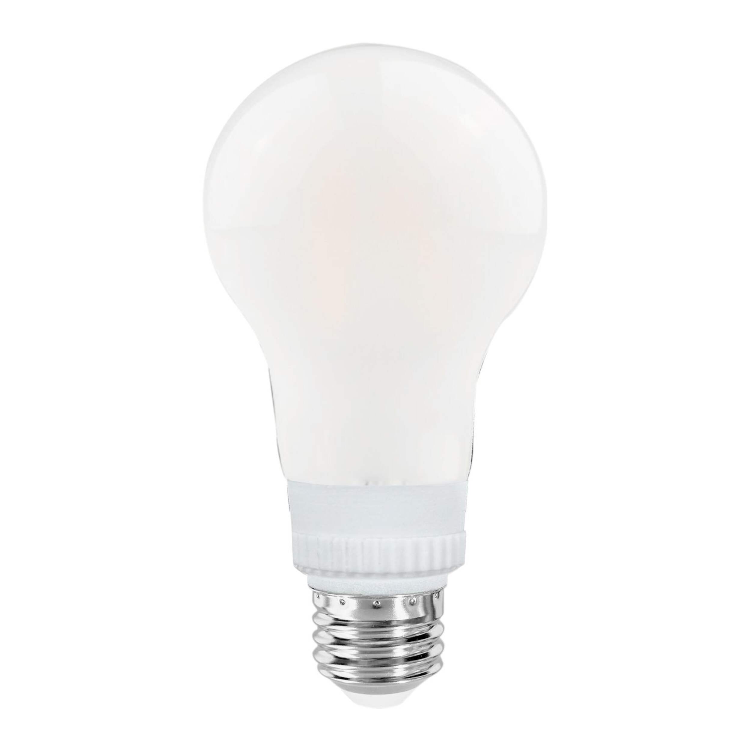 Ampoule à DEL à culot E26 d'intérieur/extérieur NOMA A19, 5000 K, 800 lumens, lumière du jour, 60 W Front_Flat