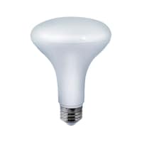 NOMA BR30 E26 Base Light Fixture LED Light Bulb, 2700K, 2200 Lumens, Warm White, 150W Front_Flat