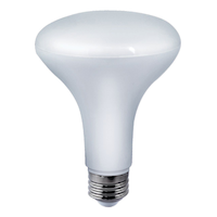 NOMA BR30 E26 Base Dimmable Light Fixture LED Light Bulb, 5000K, 2200 Lumens, Daylight, 150W Front_Flat