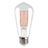 Ampoule à filament mince en verre à DEL à intensité variable à culot E26 NOMA ST19, 2700 K, 500 lumens, blanc chaud, 60 W Front_Flat