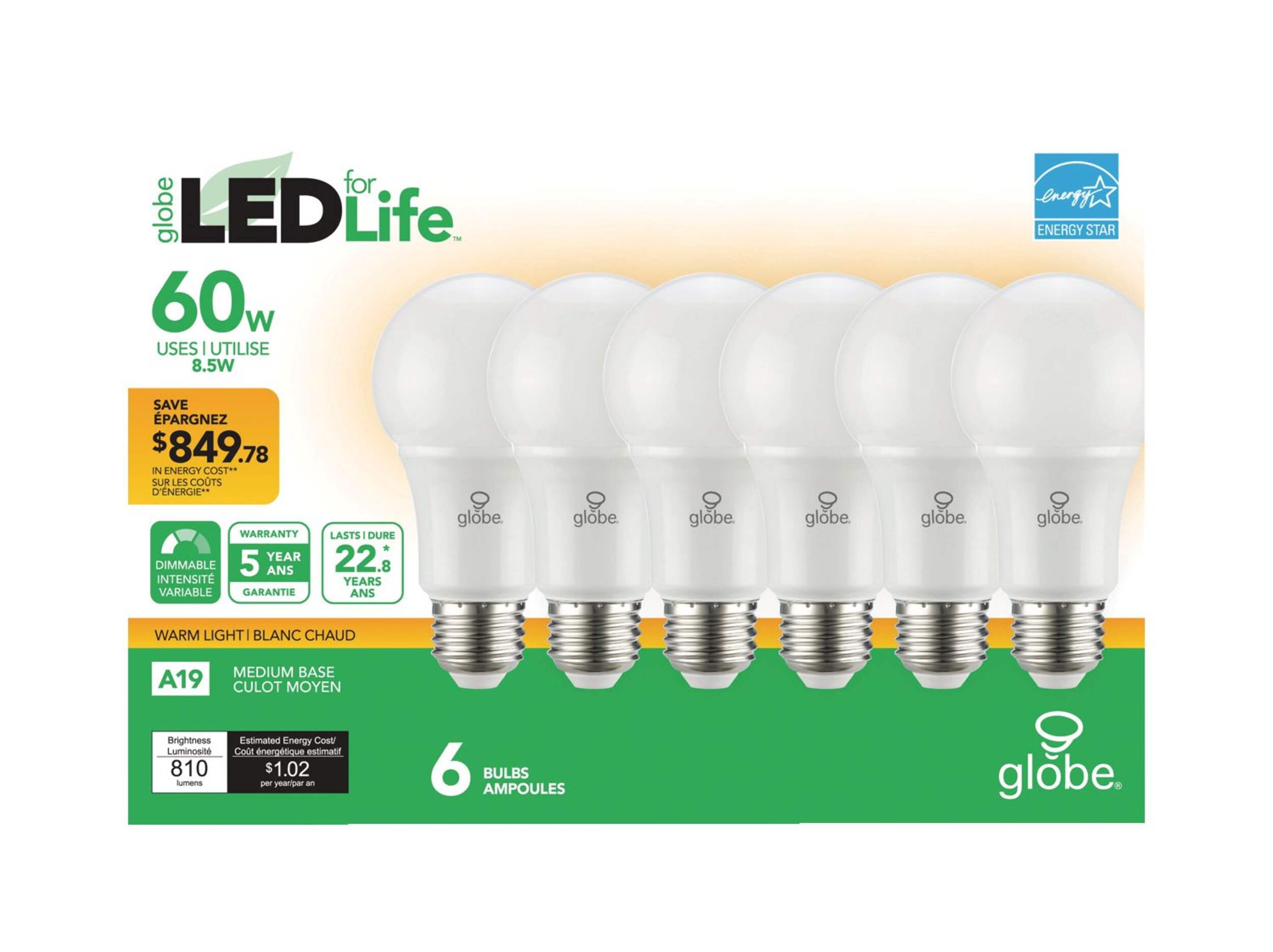 Ampoules à DEL à intensité variable à culot E26 Globe Electric A19, 810 lumens, lumière chaude, 60 W, paq. 6 Front_Flat