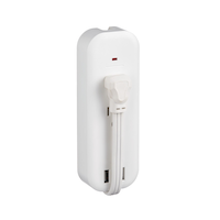 NOMA 2-Outlet and 2 USB Port Travel Power Bar with Surge Protector, 1-ft  Cord, 306 Joules, White Front_Angled_Right