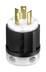 Leviton