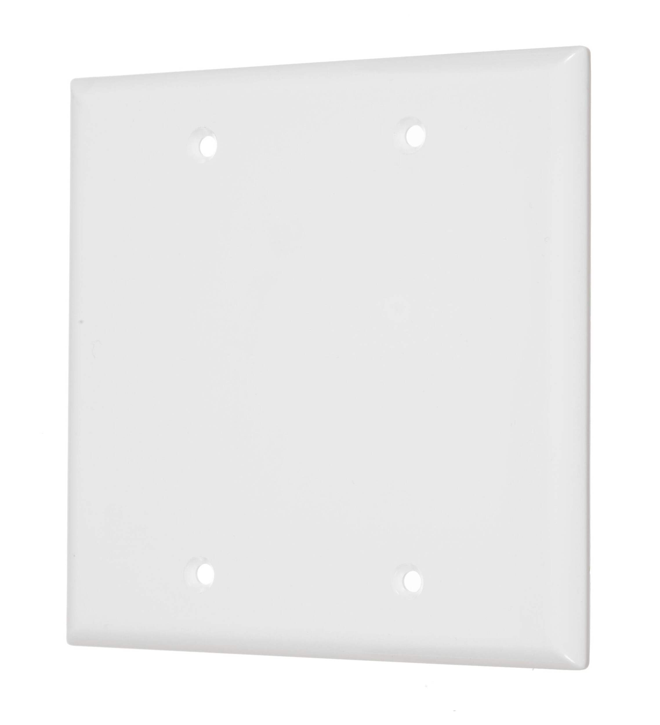 Plaque murale vierge en nylon, taille intermédiaire, 2 dispositifs, blanc Front_Angled_Left
