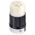 Leviton