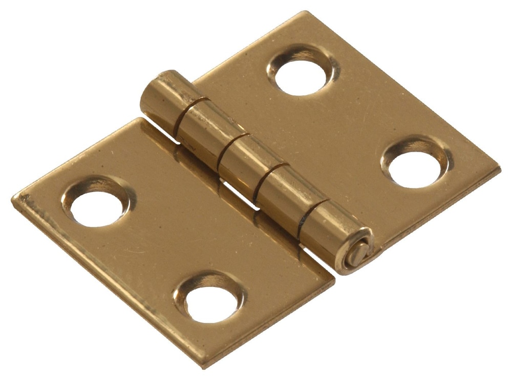 Broad Cupboard Hinge, Solid Brass Canadian Tire