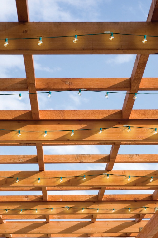 Command Clear Light Clips, Small Canadian Tire