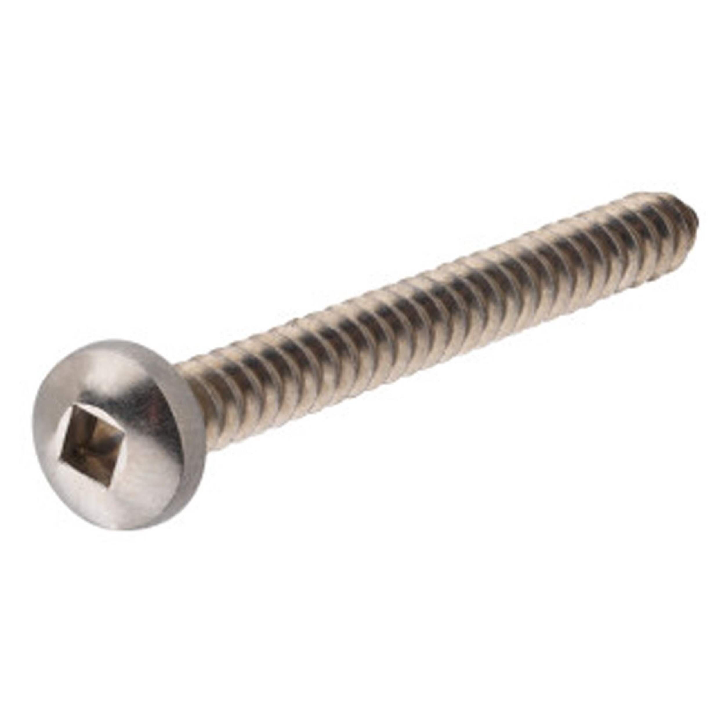Hillman Stainless Steel Pan Head Square Drive Machine Screw, 10-24 x 1/2-in, 8-pk Front_Three_Fourths_Angled_Left