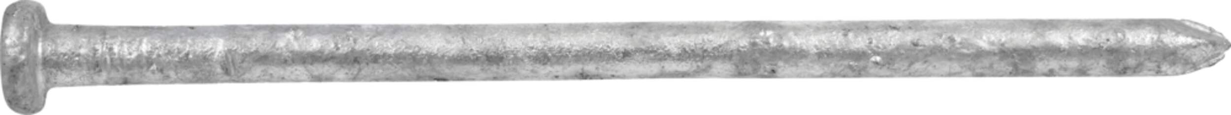 Hillman Galvanized Common Framing Nail, Exterior Application, 10-in Side_Right