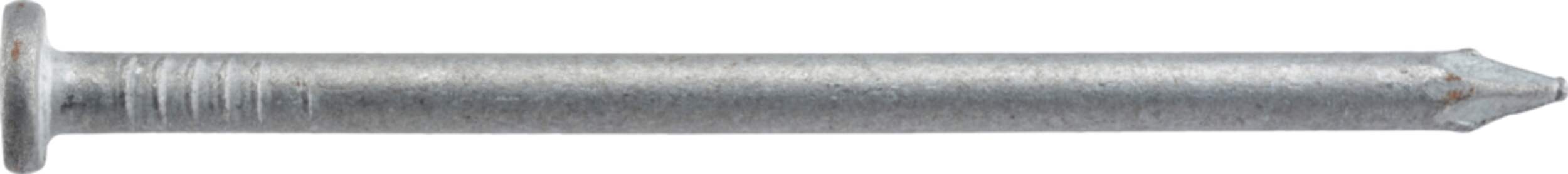 Hillman Galvanized Common Framing Nails, For Everyday Projects, 1-1/4-in, 478-pk Side_Right