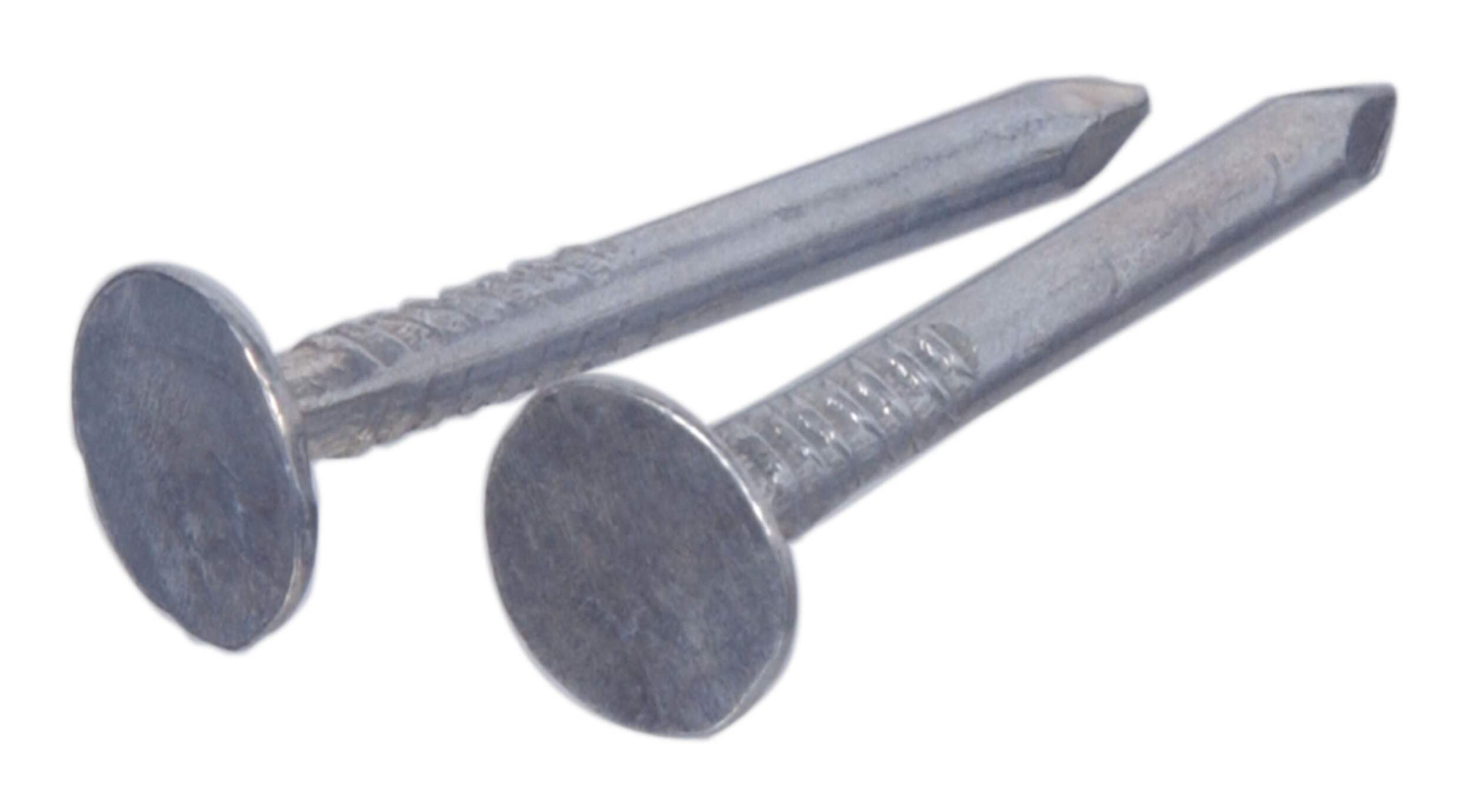 Hillman Roofing Nails, Galvanized, 11-Gauge, 1-in, 1.5-kg Front_Angled_Left