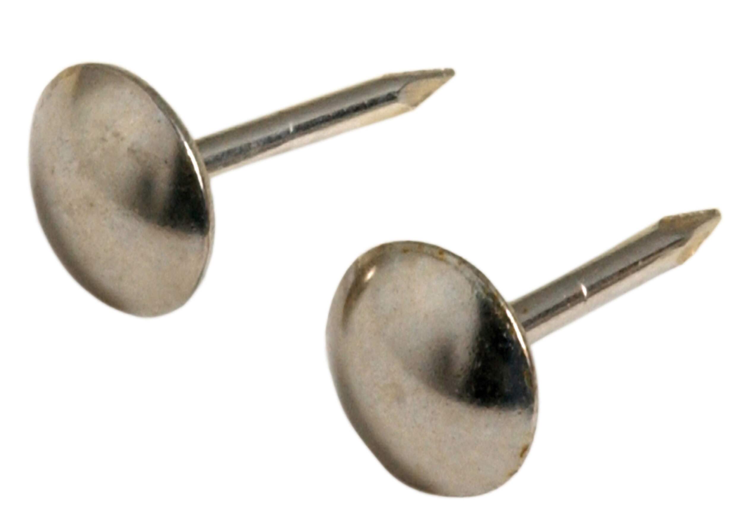 Hillman Large Round Head Furniture Nail, All Purpose Nail, Decorative Nail, Nickel-Finish Front_Angled_Left