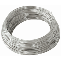 Hillman 24 Gauge Galvanized Wire Rope, Steel Construction, Flexible, 250-ft