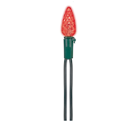 NOMA Indoor/Outdoor C6 LED with Winterguard, Red, 70-pc CloseUp