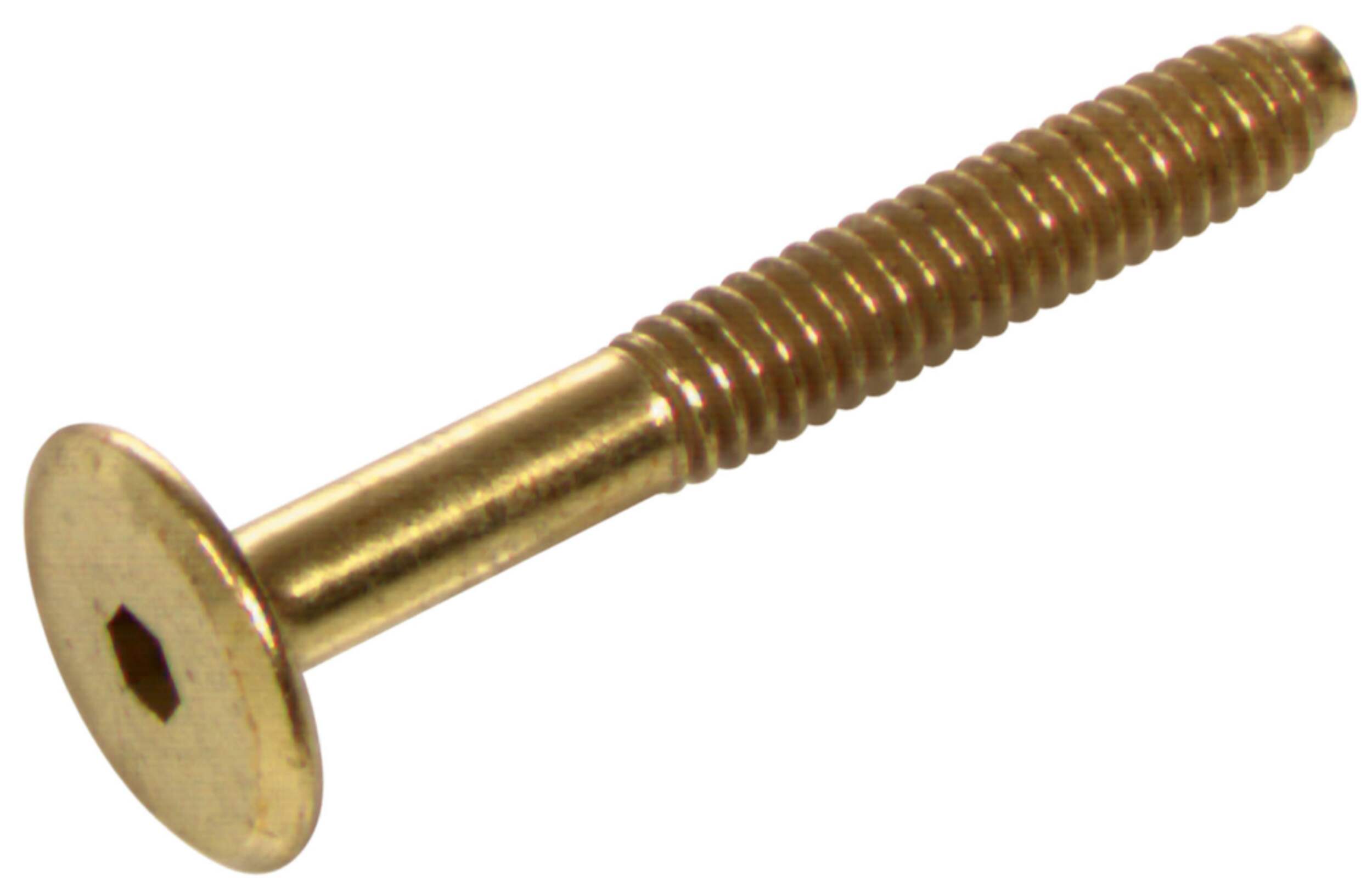 Hillman Connector Bolt, Hex Drive, 1/4-in-20 x 70-mm, Brass Front_Angled_Left